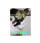 みーふーう（個別スタンプ：2）