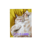 みーふーう（個別スタンプ：4）