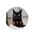 みーふーう（個別スタンプ：6）