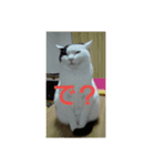 みーふーう（個別スタンプ：7）
