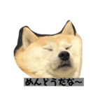らむはる1（個別スタンプ：1）