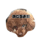 らむはる1（個別スタンプ：3）