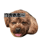 らむはる1（個別スタンプ：5）