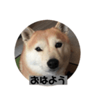 らむはる1（個別スタンプ：6）