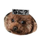 らむはる1（個別スタンプ：8）