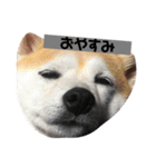 らむはる1（個別スタンプ：9）