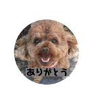 らむはる1（個別スタンプ：11）