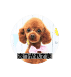 らむはる1（個別スタンプ：12）