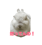 切り抜きみむ山みむ太（個別スタンプ：1）