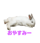 切り抜きみむ山みむ太（個別スタンプ：5）