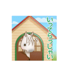 馬とねこ（個別スタンプ：9）