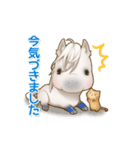 馬とねこ（個別スタンプ：19）