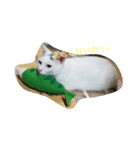 そらおのすたんぷ（個別スタンプ：1）