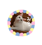 そらおのすたんぷ（個別スタンプ：4）