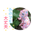 Rittantan❤︎＆Mow（個別スタンプ：26）