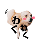 世界の動物たち（個別スタンプ：2）