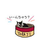 はちわれ猫とらじくん（個別スタンプ：2）