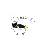 はちわれ猫とらじくん（個別スタンプ：3）
