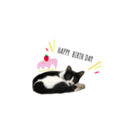 はちわれ猫とらじくん（個別スタンプ：5）