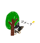 はちわれ猫とらじくん（個別スタンプ：12）