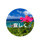 "沖縄"（個別スタンプ：2）