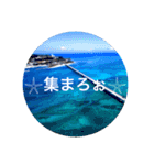"沖縄"（個別スタンプ：12）