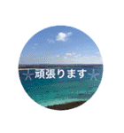 "沖縄"（個別スタンプ：14）