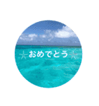 "沖縄"（個別スタンプ：16）