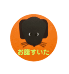 黒ラブ犬「ちゃま」3（個別スタンプ：13）