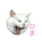 とっさんだよ（個別スタンプ：2）