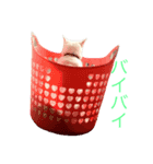 とっさんだよ（個別スタンプ：6）