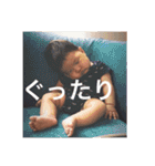 ミアモネ3（個別スタンプ：11）