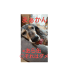 りくじぃのレッスン（個別スタンプ：1）