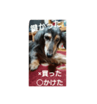 りくじぃのレッスン（個別スタンプ：2）