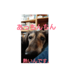 りくじぃのレッスン（個別スタンプ：4）