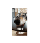 りくじぃのレッスン（個別スタンプ：7）
