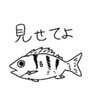 お魚などのスタンプ3（個別スタンプ：24）