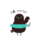 カタカケフウチョウ！（個別スタンプ：1）