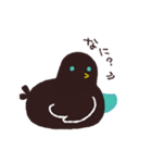 カタカケフウチョウ！（個別スタンプ：7）