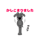 黒シュナチョコりん 2（個別スタンプ：10）