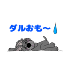 黒シュナチョコりん 2（個別スタンプ：18）