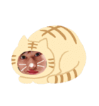 The 磯貝（個別スタンプ：16）