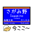 相鉄線 いずみ野線 気軽に今この駅だよ！（個別スタンプ：16）