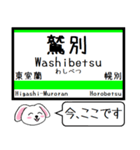 室蘭本線 支線 今この駅だよ！タレミー（個別スタンプ：17）