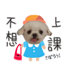 私の愛するもの cute dog（個別スタンプ：2）