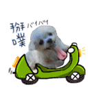 私の愛するもの cute dog（個別スタンプ：3）