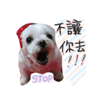 私の愛するもの cute dog（個別スタンプ：6）