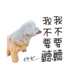 私の愛するもの cute dog（個別スタンプ：8）