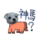 私の愛するもの cute dog（個別スタンプ：16）