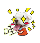 私の愛するもの cute dog（個別スタンプ：18）